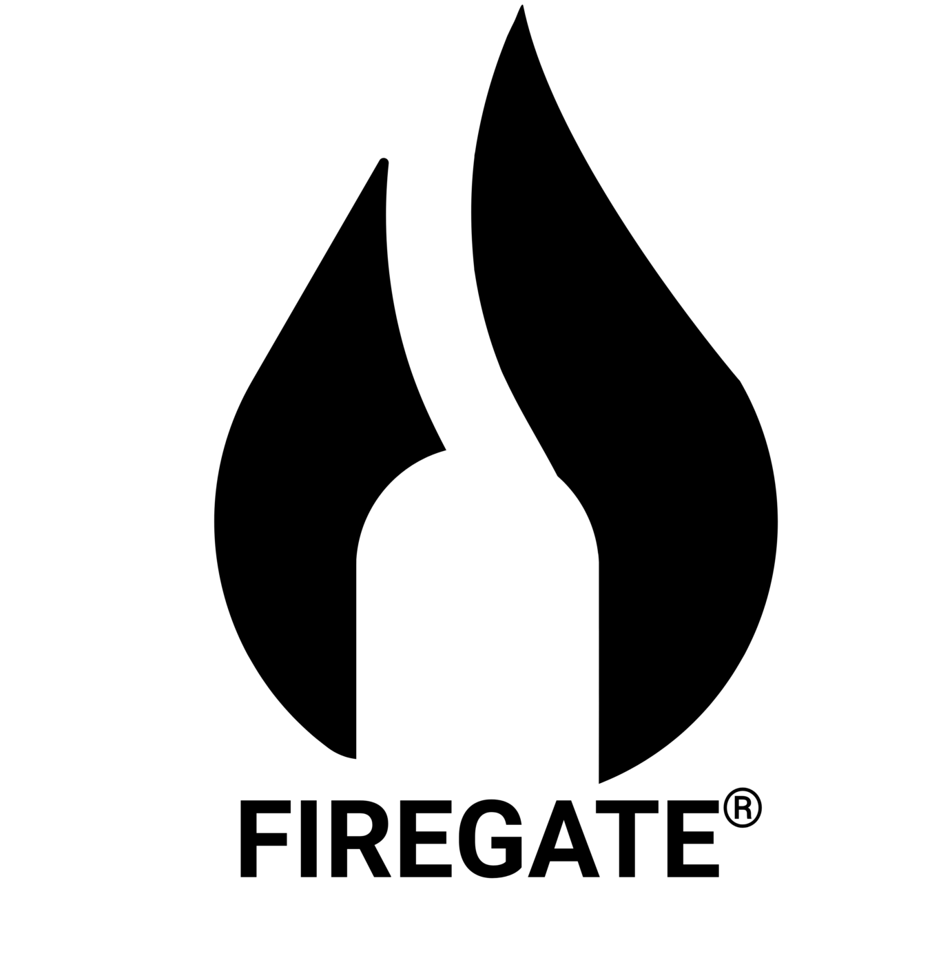 Firegate® Network Security Technical Details